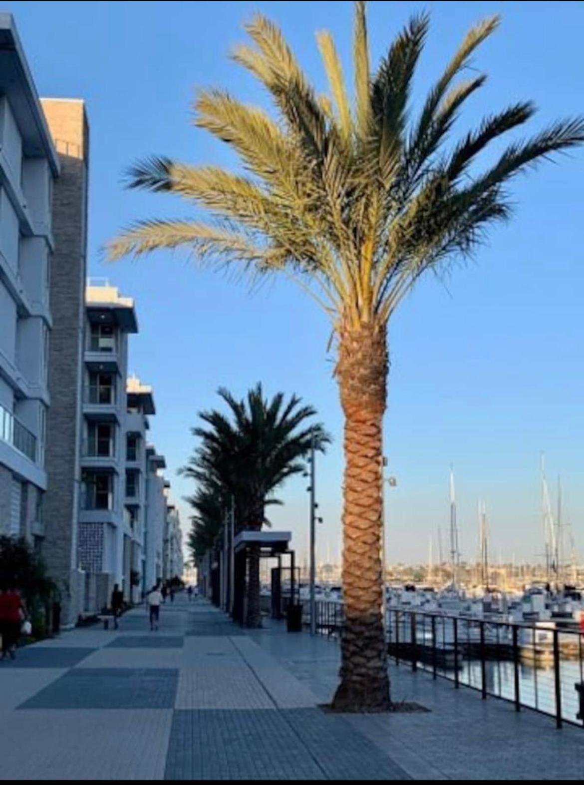Venice Lux Retreat Coastal Haven Appartement